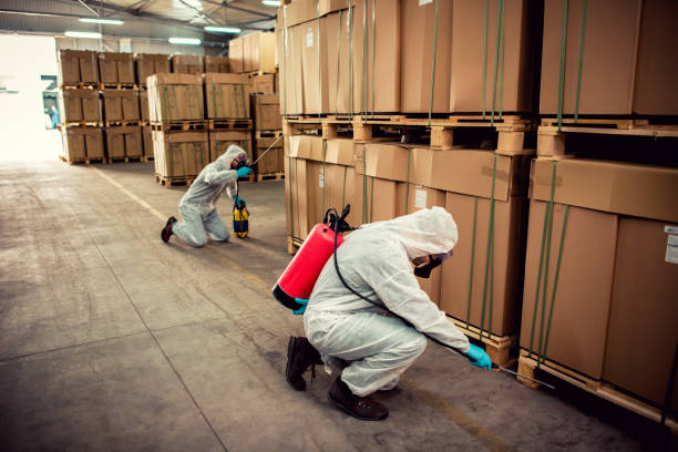 Best Bed Bug Extermination  in Fox Crossing, WI