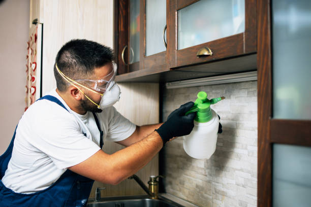 Best Wasp Removal Services  in Fox Crossing, WI