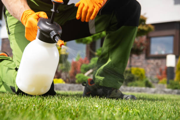 Best Mosquito Control Services  in Fox Crossing, WI