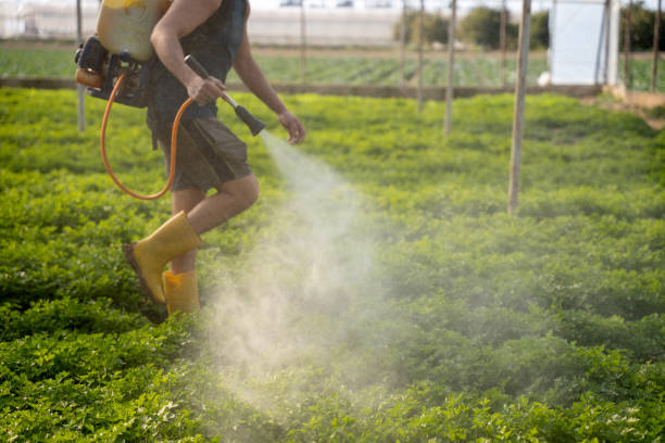 Reliable Fox Crossing, WI Pest Control Solutions
