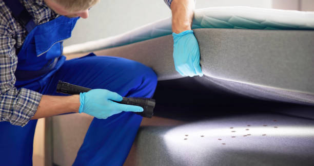 Best Pest Control Near Me in Fox Crossing, WI