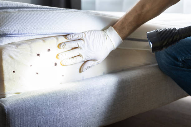 Best Pest Prevention Services  in Fox Crossing, WI