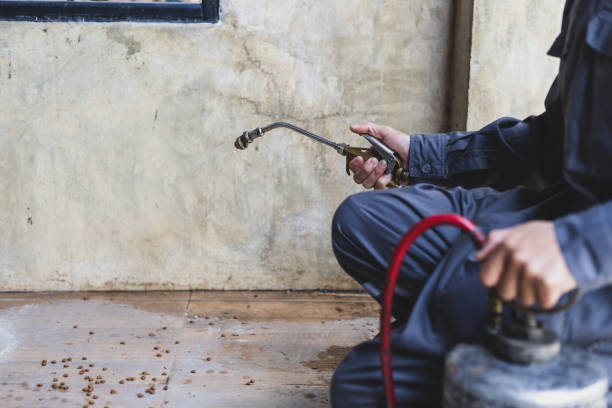 Best Flea Control Services  in Fox Crossing, WI